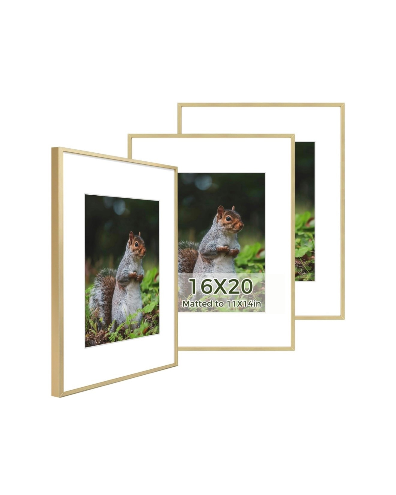 Golden State Art 16x20 Picture Frame 3 Pack - Aluminum Frames with 11x14 Removable Mats & Real Glass, Display 16x20 Posters or 11x14 Photos - Gold Gallery Wall Frames for Home Office Decor
West Elm

#LTKHoliday #LTKCyberWeek #LTKHome