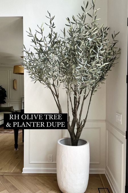 My tree and planter are from RH (discontinued) but I found very similar and great quality! Saw in store and was impressed! #fauxtree #homedecor #olivetree

#LTKhome