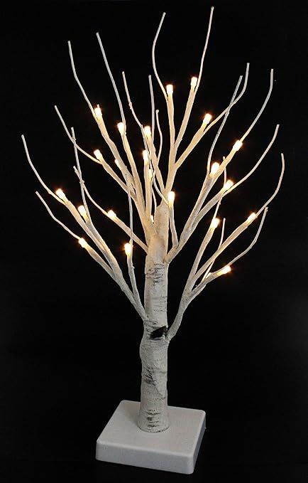 PMS 15inch 24 LEDs White Birch Tree Light Mood Light Battery Operated Warm White Bonsai Table Lam... | Amazon (US)