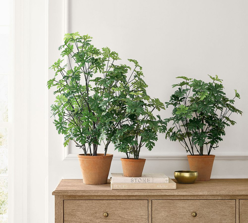 Faux Potted Citronella | Pottery Barn (US)