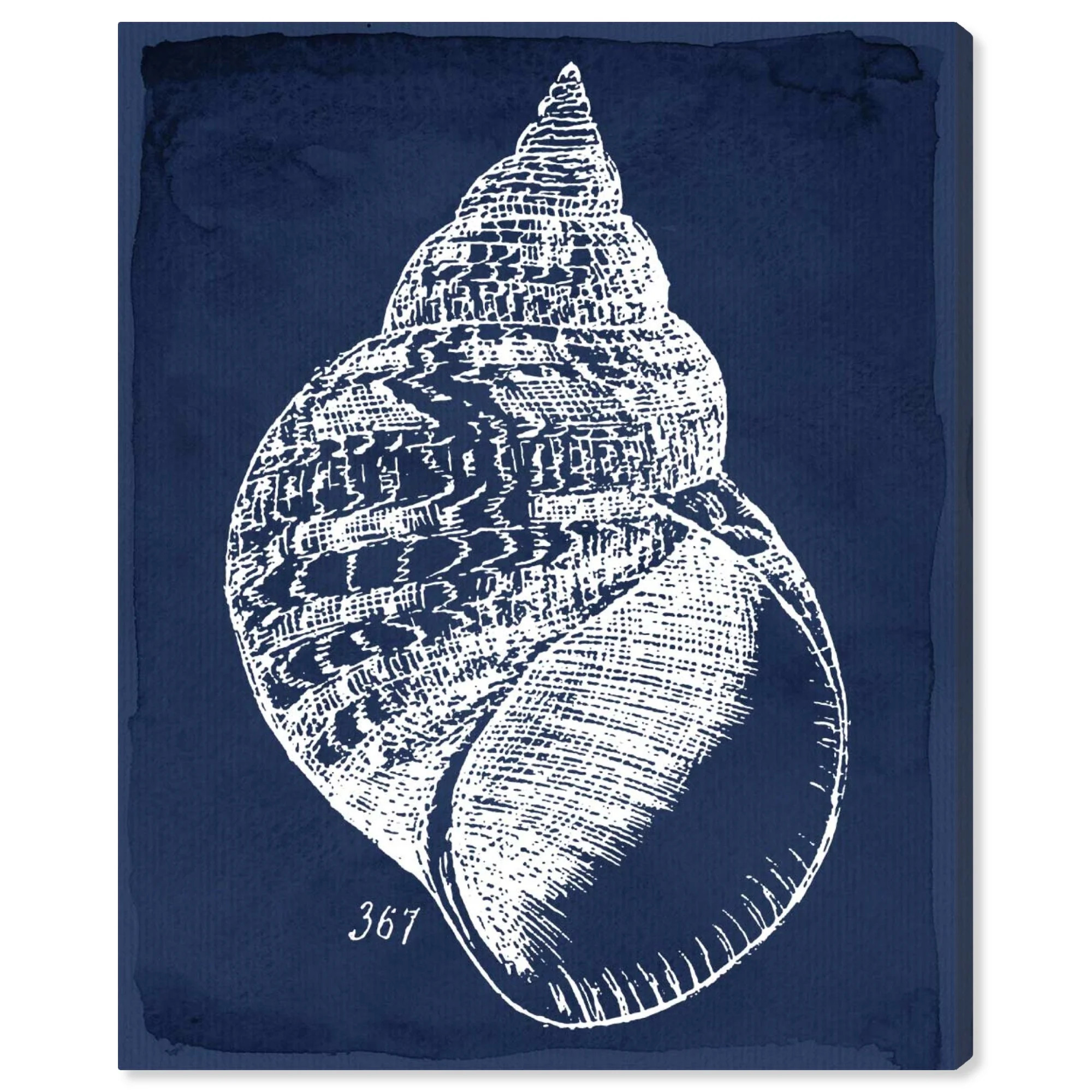 Runway Avenue Nautical and Coastal Wall Art Canvas Prints 'Shell Mares Navy' Marine Life - Blue, ... | Walmart (US)