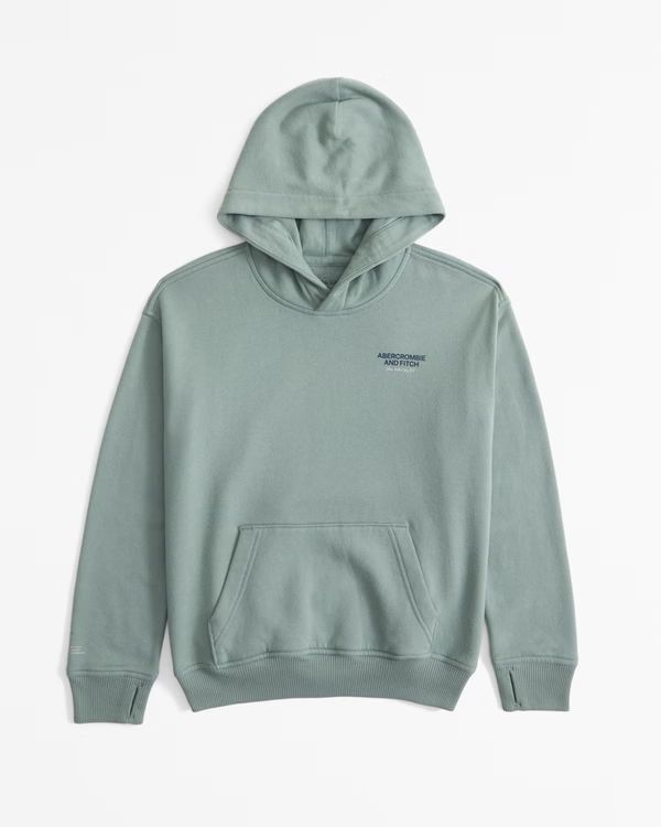 logo popover hoodie | Abercrombie & Fitch (US)