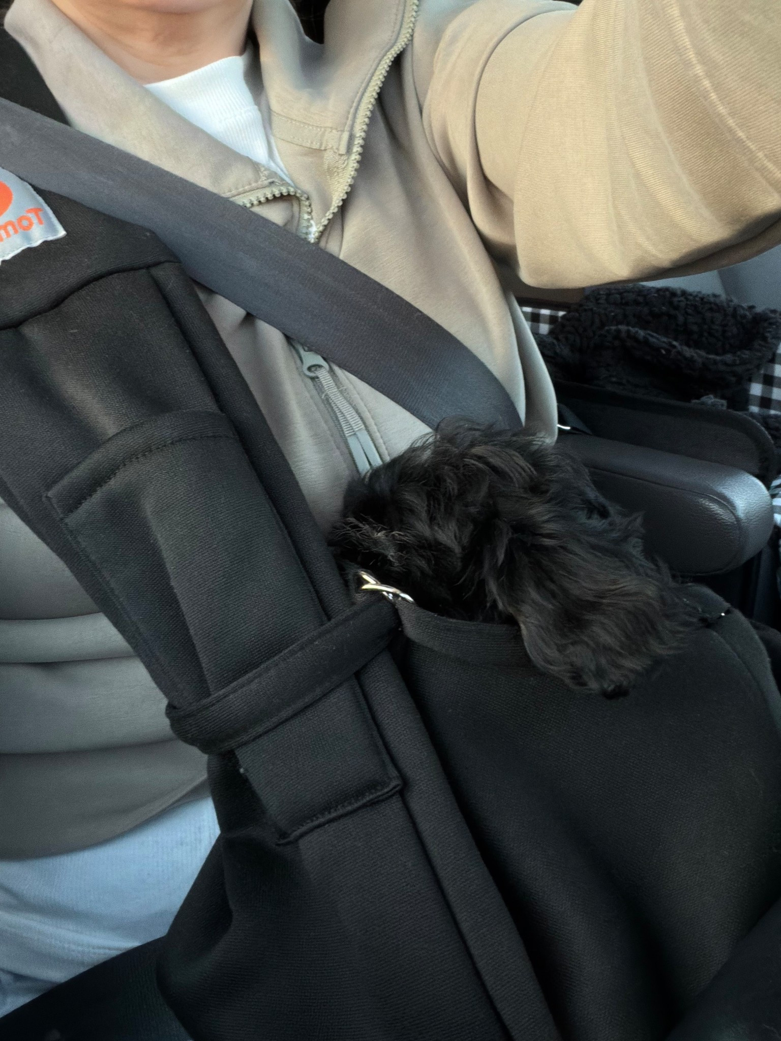 This carrier has been a MUST for a new puppy!

#amazon #puppymusthaves 

#LTKTravel #LTKdayinmylife