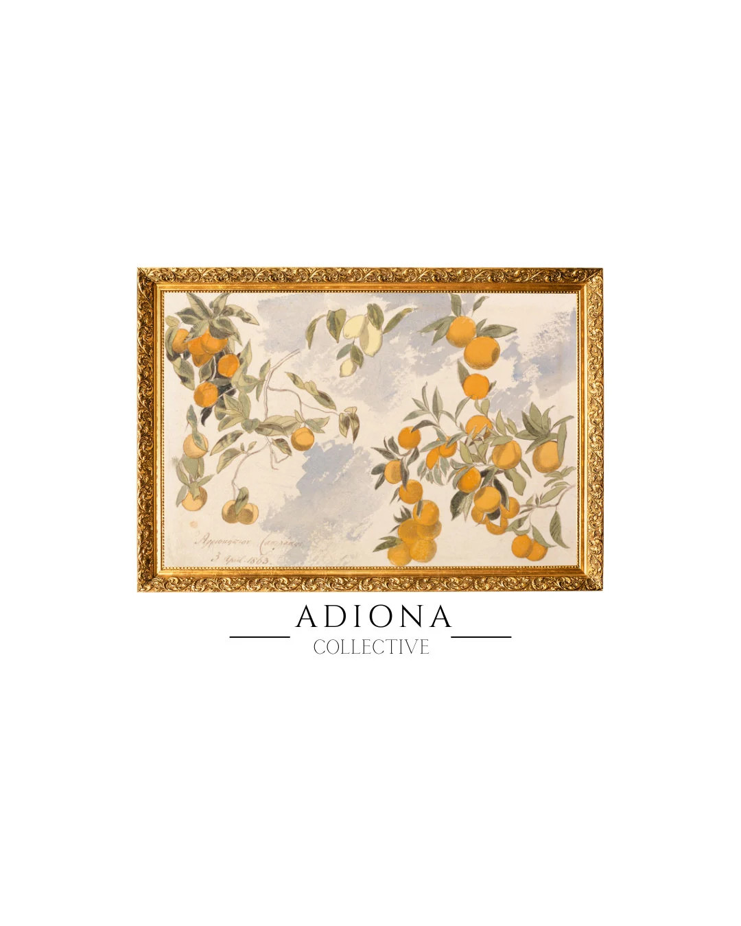 Citrus Tree Vintage Art Watercolor Artwork Vintage Artwork Printable Artwork PRINTABLE DIGITAL DO... | Etsy (US)