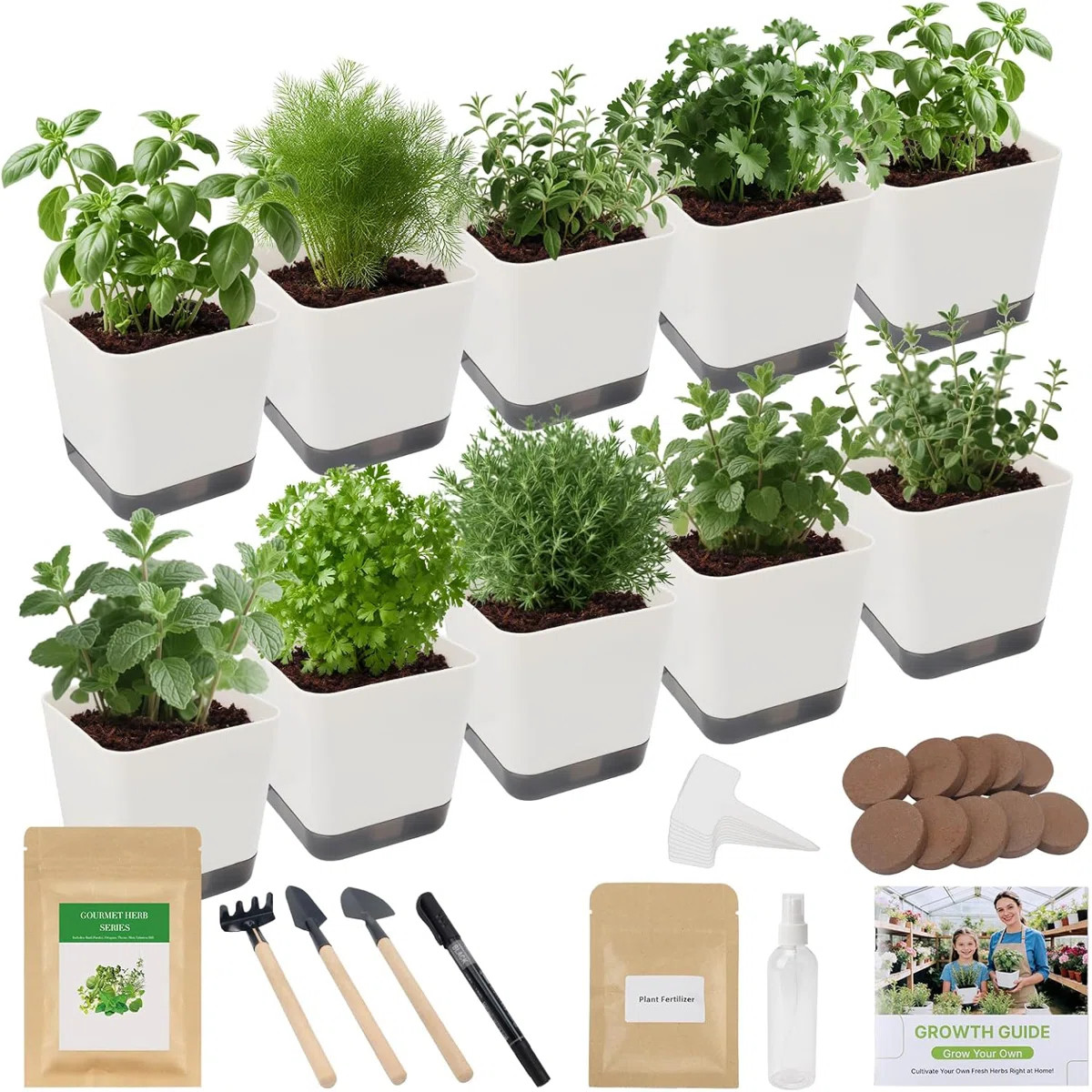 10-Set Indoor Herb Starter Kit with 7 Herb Seeds, Plant Nutrients & Gardening Tools, Non-GMO Heir... | Wayfair North America
