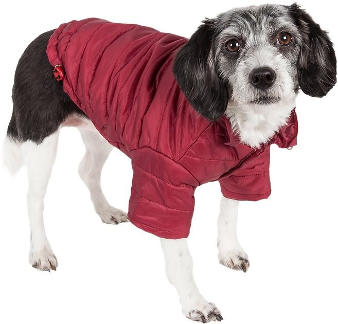 Pet Life Lightweight Sporty Avalanche Dog Coat, Red, Small | Chewy.com