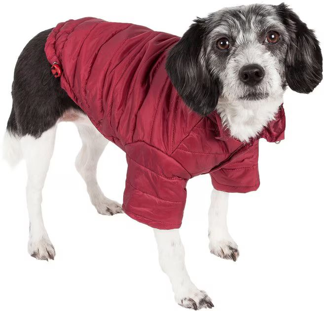 Pet Life Lightweight Sporty Avalanche Dog Coat, Red, Small | Chewy.com