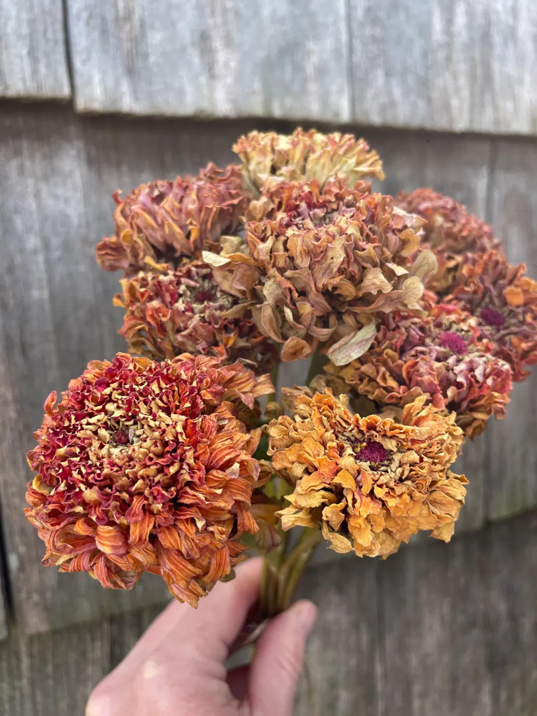 Only 1 left and in 1 cart | Etsy (DACH)