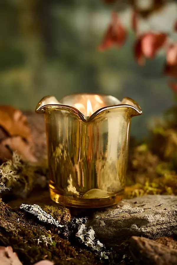 Botaniculture Fireside Candle | Anthropologie (US)