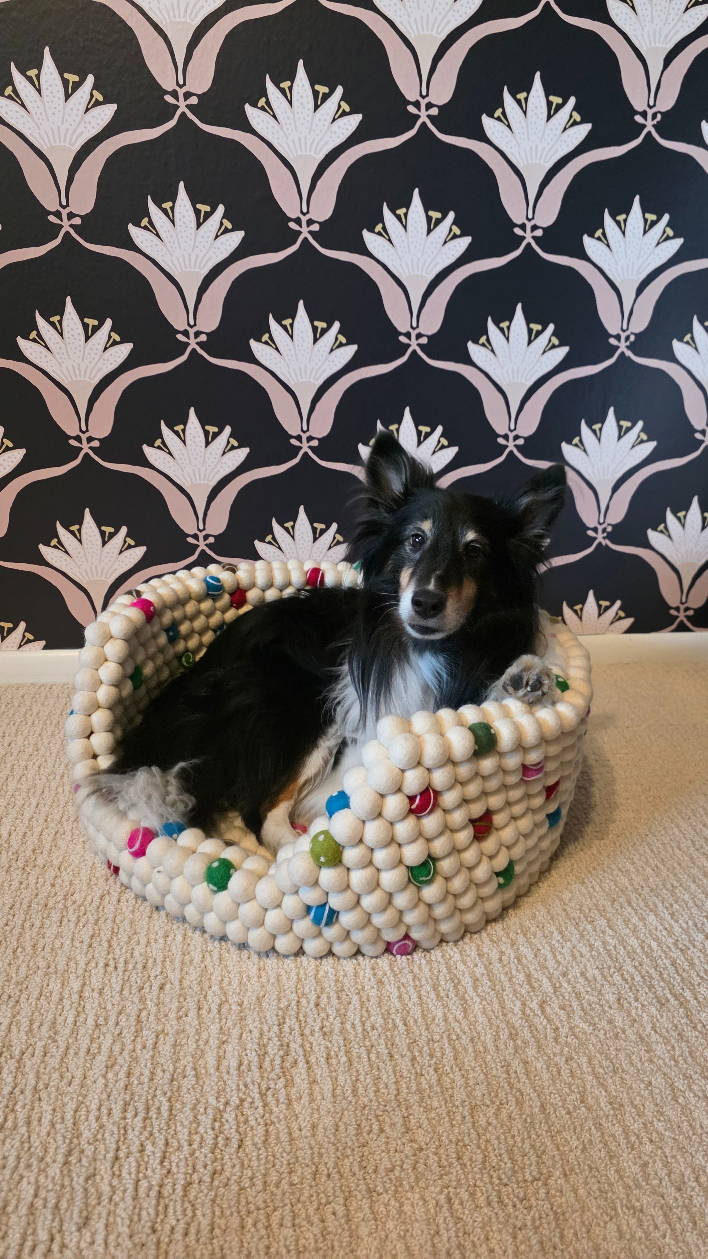 isn't this dog bed so cute??

#LTKHome #LTKStyleTip #LTKFamily