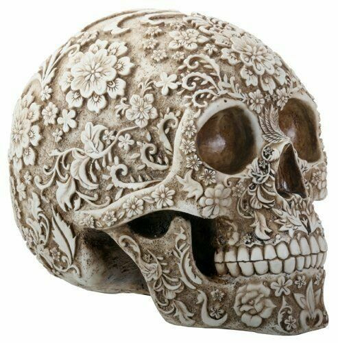 8 Inch White and Light Brown Colored Floral Human Skull Figurine Skulls Fantasy for sale online |... | eBay US