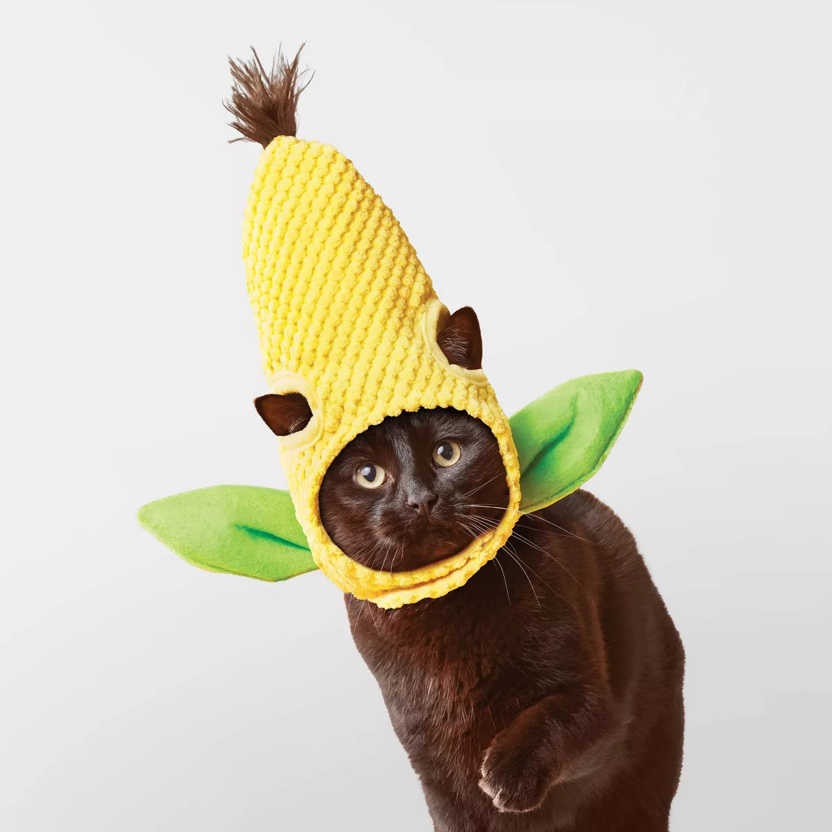 Corn Cat Headpiece Costume - Boots & Barkley™ Yellow One Size Fits Most | Target