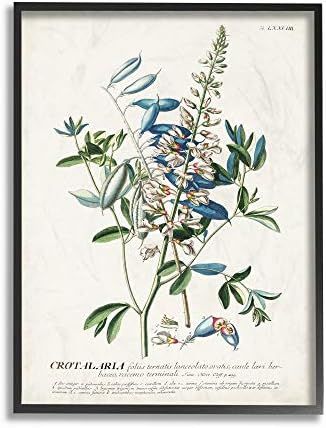 Stupell Industries Botanical Plant Illustration Flowers and Leaves Vintage Black Framed Wall Art,... | Amazon (US)