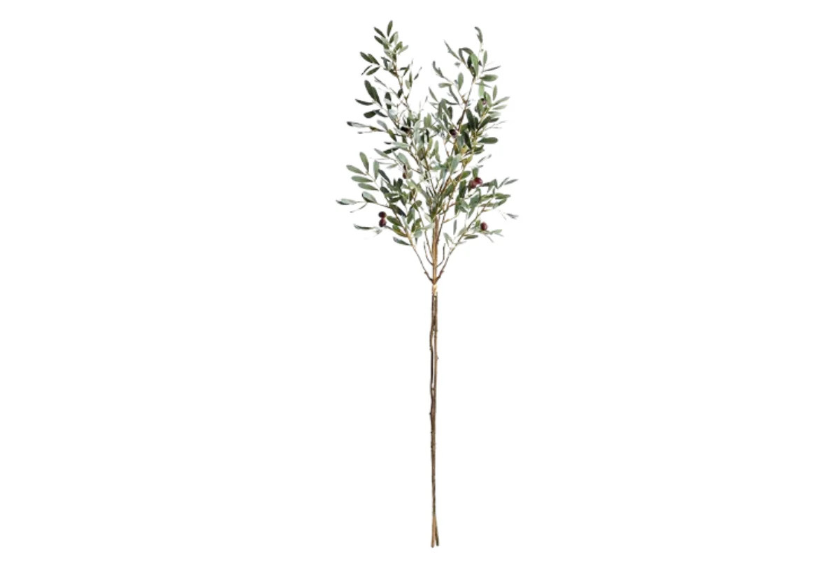 OLIVE BRANCHES | Set of 2 | Alice Lane Home Collection