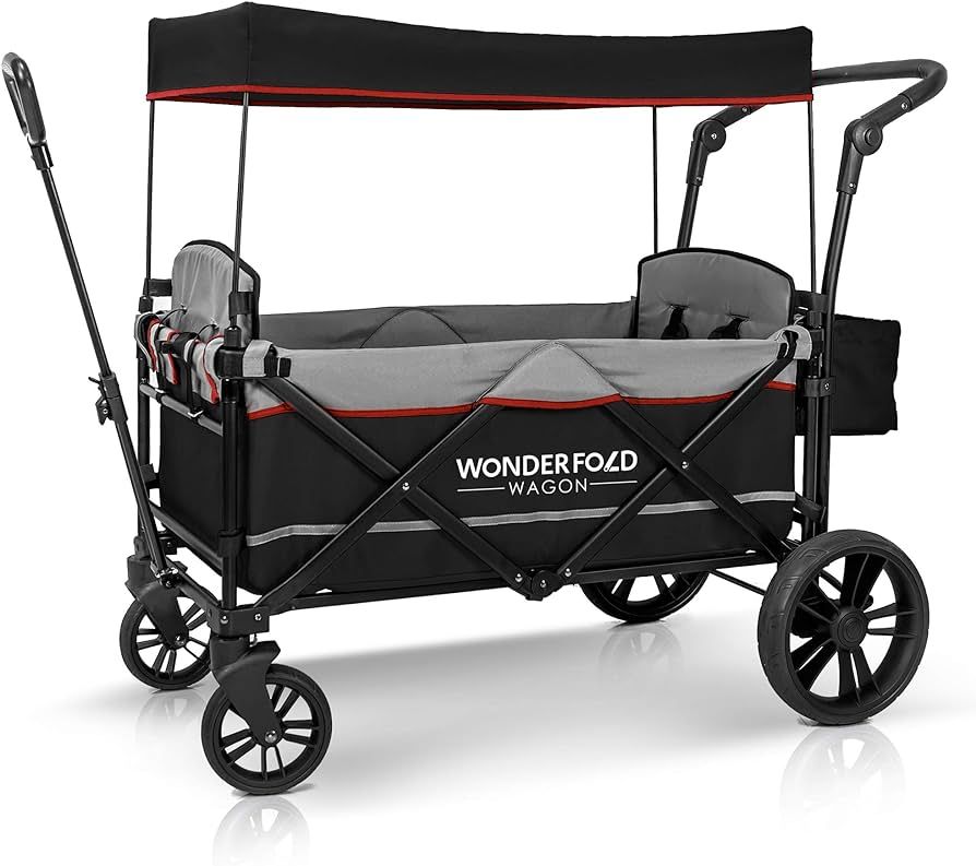 WONDERFOLD X2 Push & Pull Double Stroller Wagon (2 Seater) Featuring 5 Point Harnesses, Adjustabl... | Amazon (US)