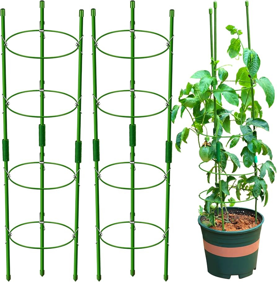 LEOBRO Tomato Cages for Garden, 36 Inch Plant Supports Plant Stakes, Cucumber Trellis, Peony Supp... | Amazon (US)