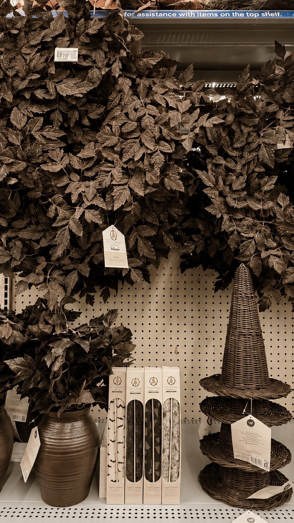 Top Walmart Fall + Halloween decorations 🍂

#LTKmomlife #LTKSeasonal #LTKHome