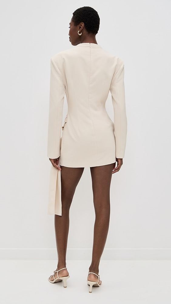 Martini Long Sleeve Mini Dress | Shopbop