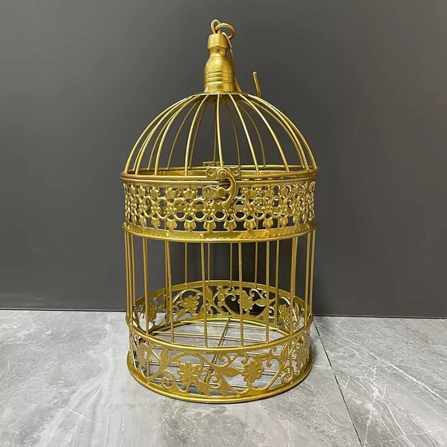 Decorative round 2024 bird cage