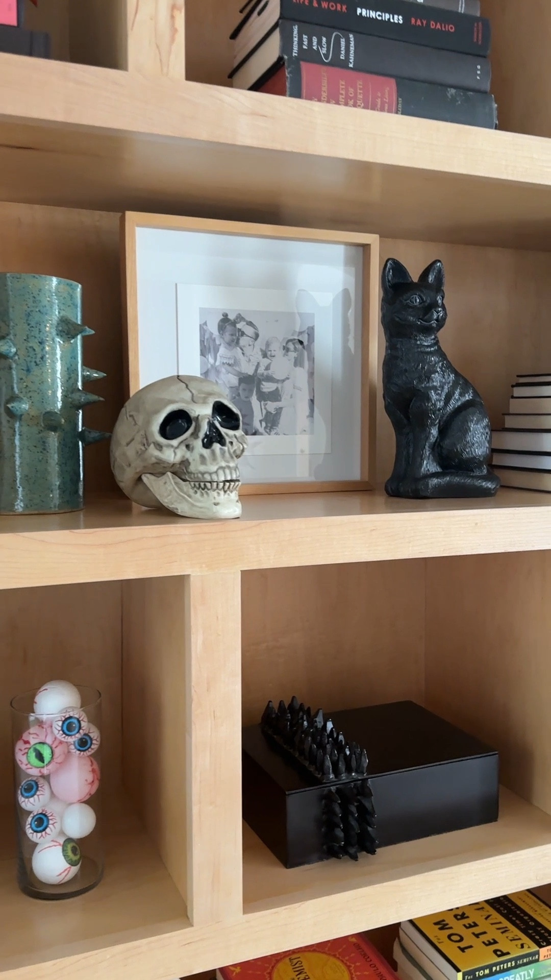 Spooky Halloween Bookshelves 


Bookshelf decor, bookshelf styling, home decor, spooky season, halloween decor 

#LTKhome #LTKSeasonal #LTKHalloween