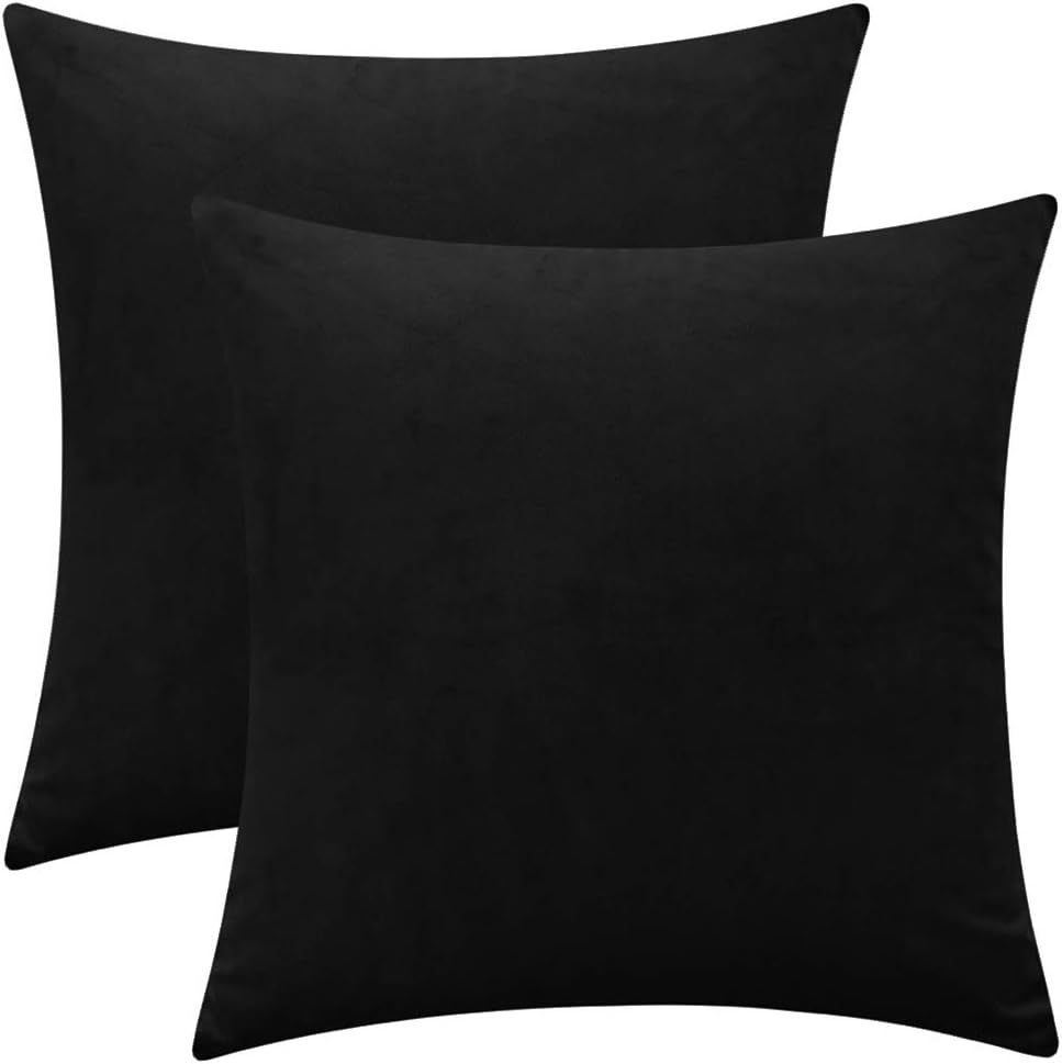 Rythome Set of 2 Comfortable Velvet Throw Pillow Cases Decorative Solid Cushion Covers for Sofa C... | Amazon (US)
