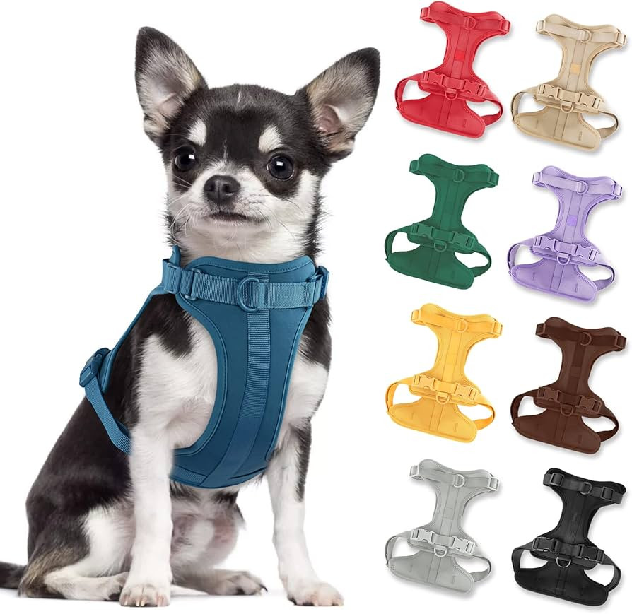 No Pull Lightweight Dog Harness: Adjustable Durable Breathable Mesh Pet Vest Harness with Soft & ... | Amazon (US)