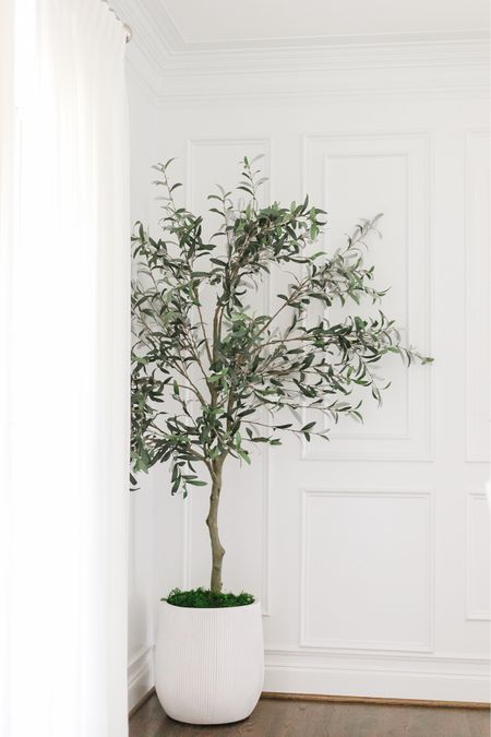 The Best Faux Olive Tree 🌿

olive tree // amazon finds // olive tree planter // amazon faux tree // amazon home finds // faux tree // amazon home decor

#LTKHome #LTKFindsUnder100 #LTKFindsUnder50