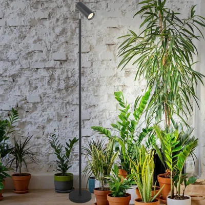 47.2"-63"H Grow Lights For Indoor Plants Full Spectrum, Standing Tall Plant Light With 20W COB Plant Light Bulb, 4/8/12H Timer LED Floor Plant Growing | Wayfair North America