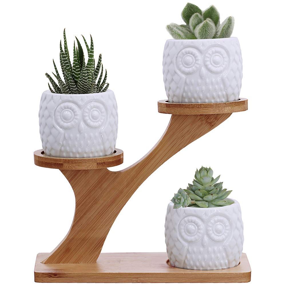 3pcs Owl Succulent Pots with 3 Tier Bamboo Saucers Stand Holder - White Modern Decorative Ceramic Fl | Amazon (US)