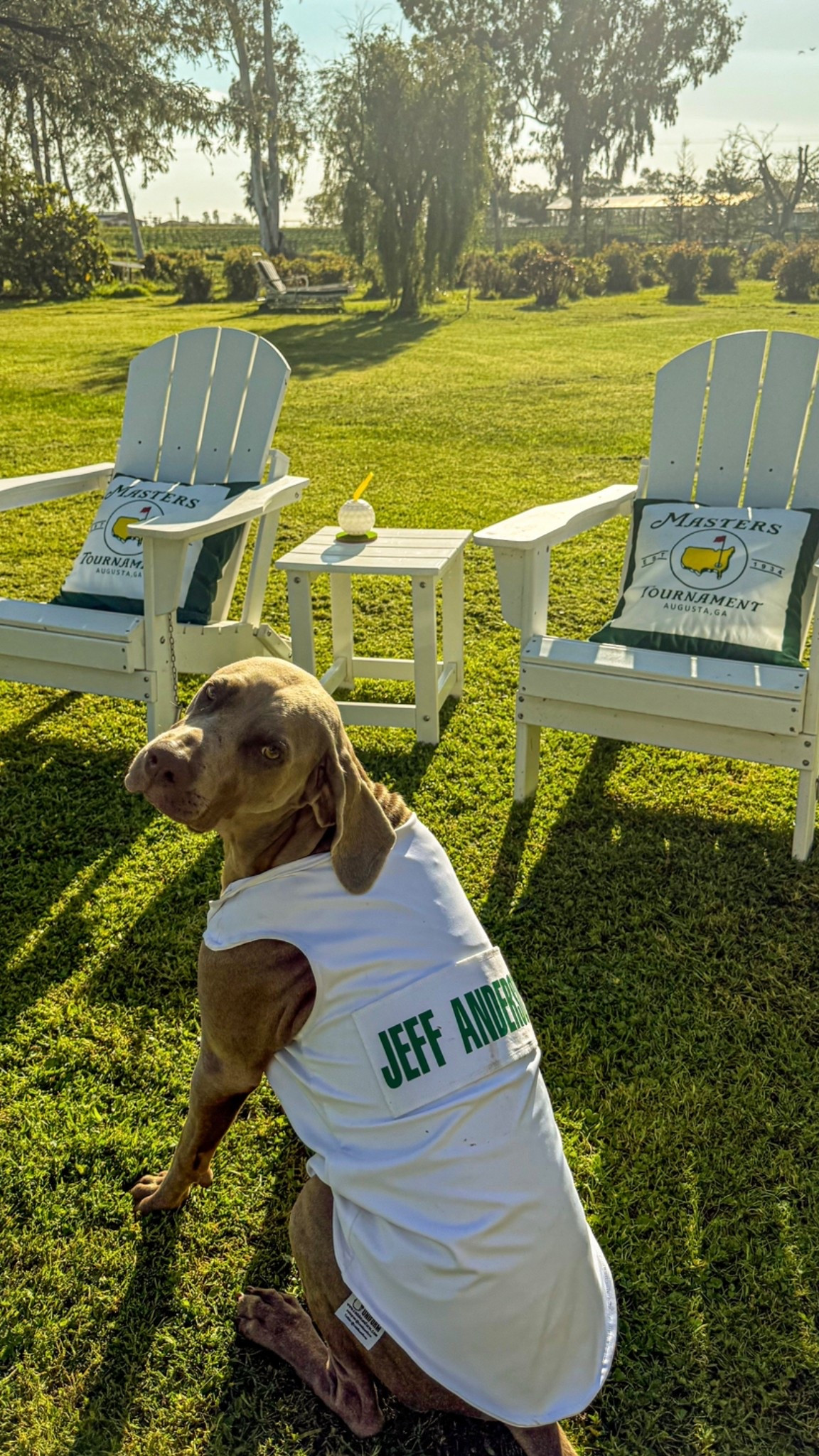 Masters golf tournament caddie outfit for dogs. ⛳️ 🐶 

#LTKFindsUnder100 #LTKSeasonal #LTKPets