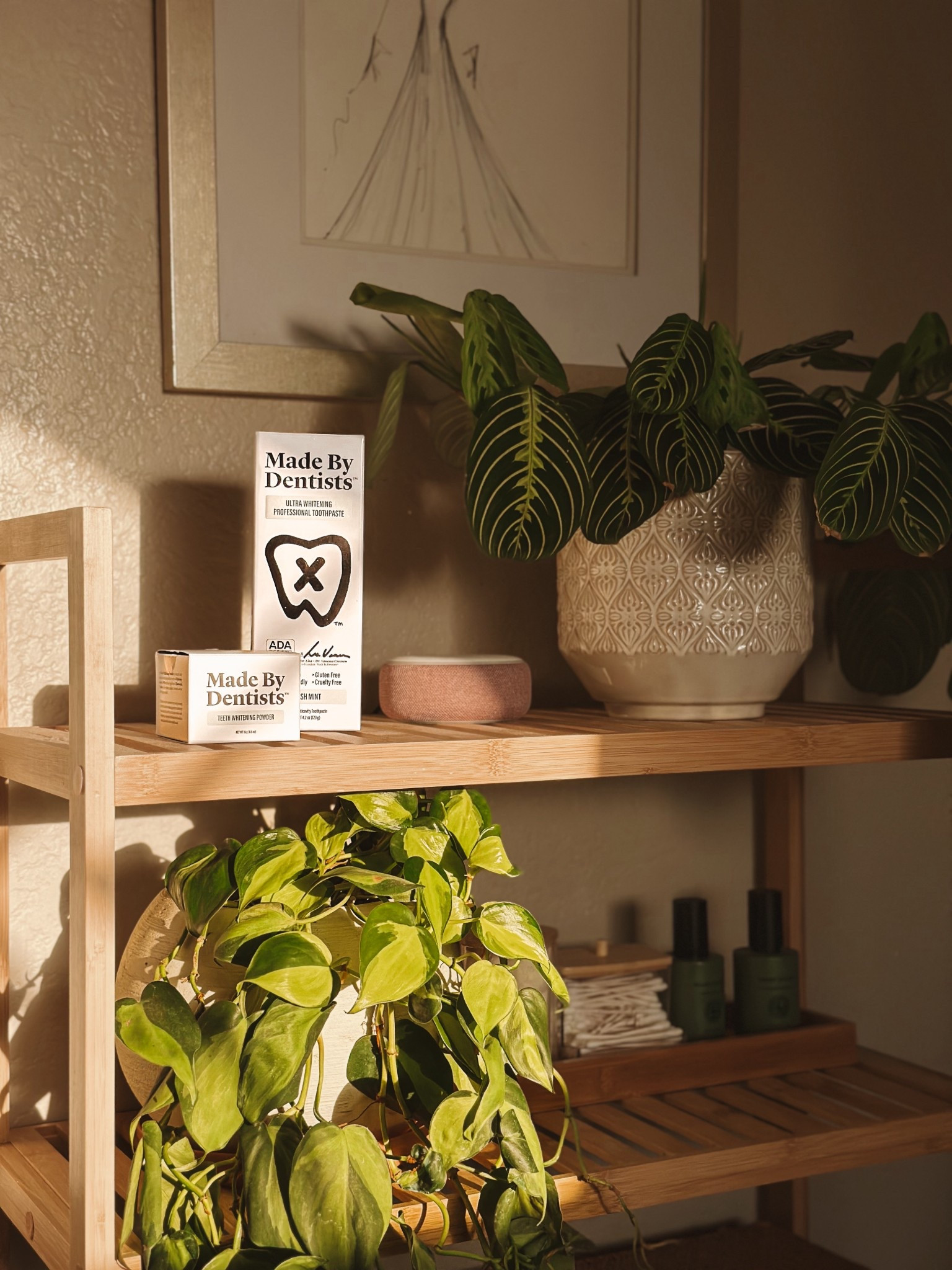 Just found my new favorite #AmazonFind — this viral Teeth Whitening Powder from @madebydentists #AD 🤍 Created by two dentist sisters, it transforms any toothpaste into a professional-level whitening treatment. It’s vegan, clean, and safe to use daily (goodbye coffee + soda stains 👋). I’ve been using it for two weeks now and already see a real difference in my smile! #madebydentists #teethwhiteningpowder

#LTKBeauty #LTKHome #LTKFindsUnder50