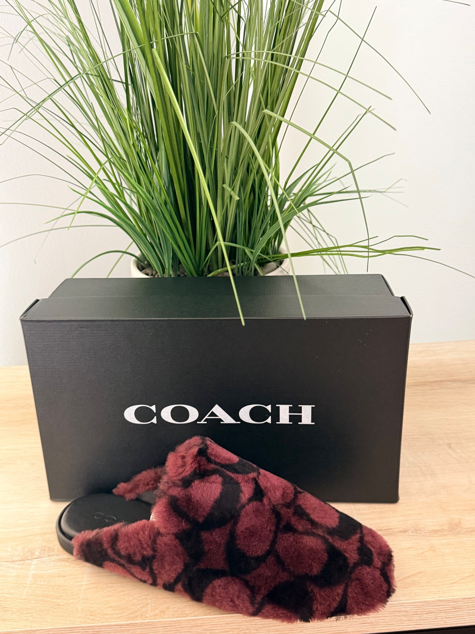 AFFORDABLE COACH FIND! These are currently 50% off! Getting BIRTHDAY READY! #coach #luxury #designer #beauty #makeup #style #fashion @coach #shoes #comfort #slippers #outdoorwear 

#LTKSeasonal #LTKValentine #LTKBeauty