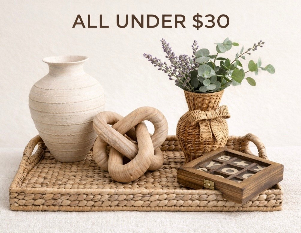 Decor I just ordered all under $30! 🌿🤎


#LTKdayinmylife #LTKHome