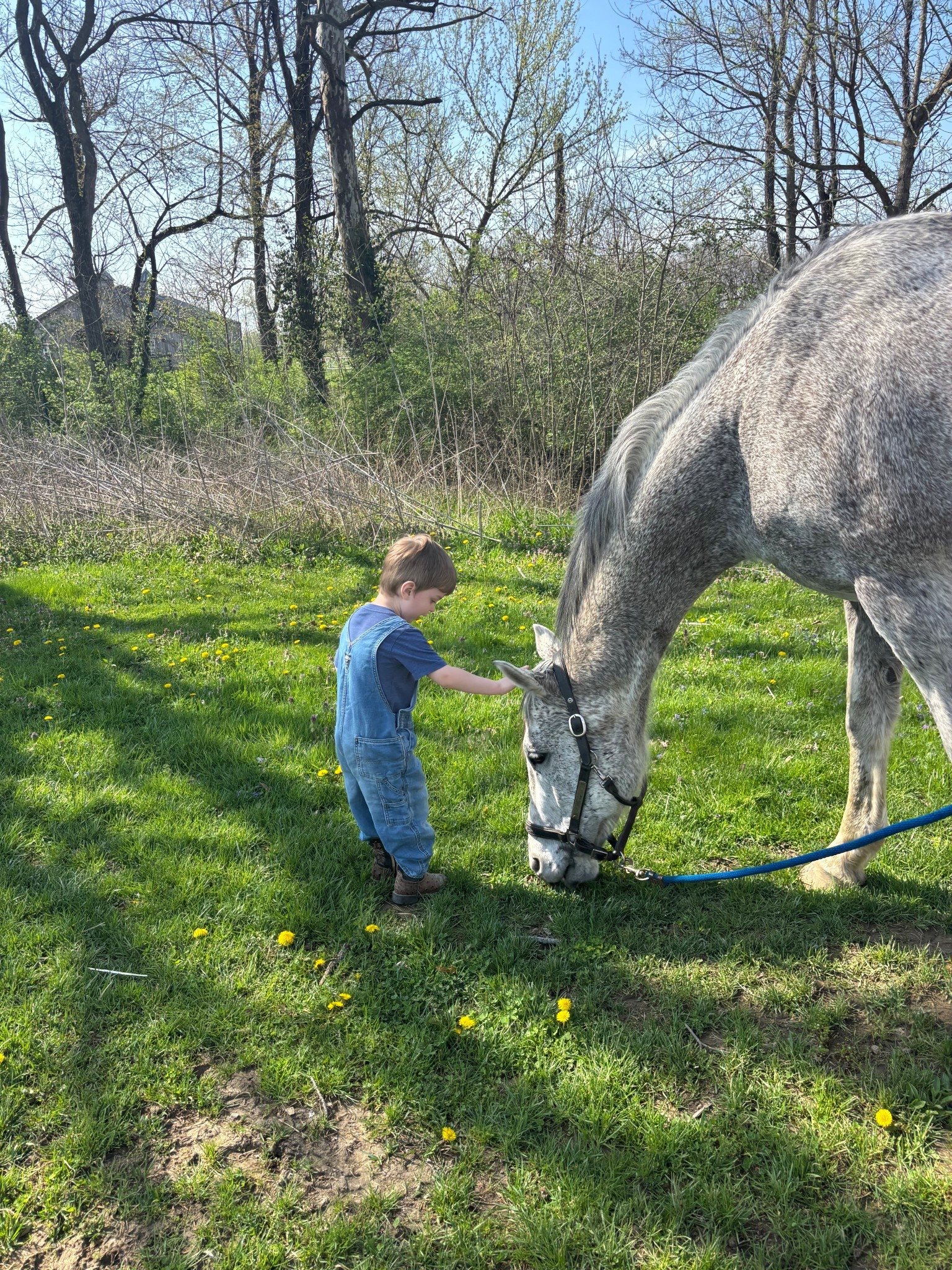 We love Foggy boy 🤍🐴

#LTKKids #LTKActive #LTKdayinmylife