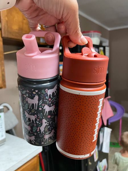 These simple Modern water bottles have been a game changer for the kids this summer! They love them and they’re easy to keep up with! 

#LTKxPrimeDay #LTKsalealert #LTKkids