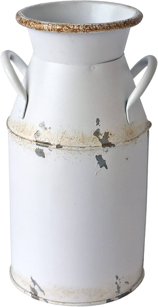 Fauevav Galvanized Milk Can Antique Retro Vase Metal Planter Rustic Vintage Primitive Flower Hold... | Amazon (US)