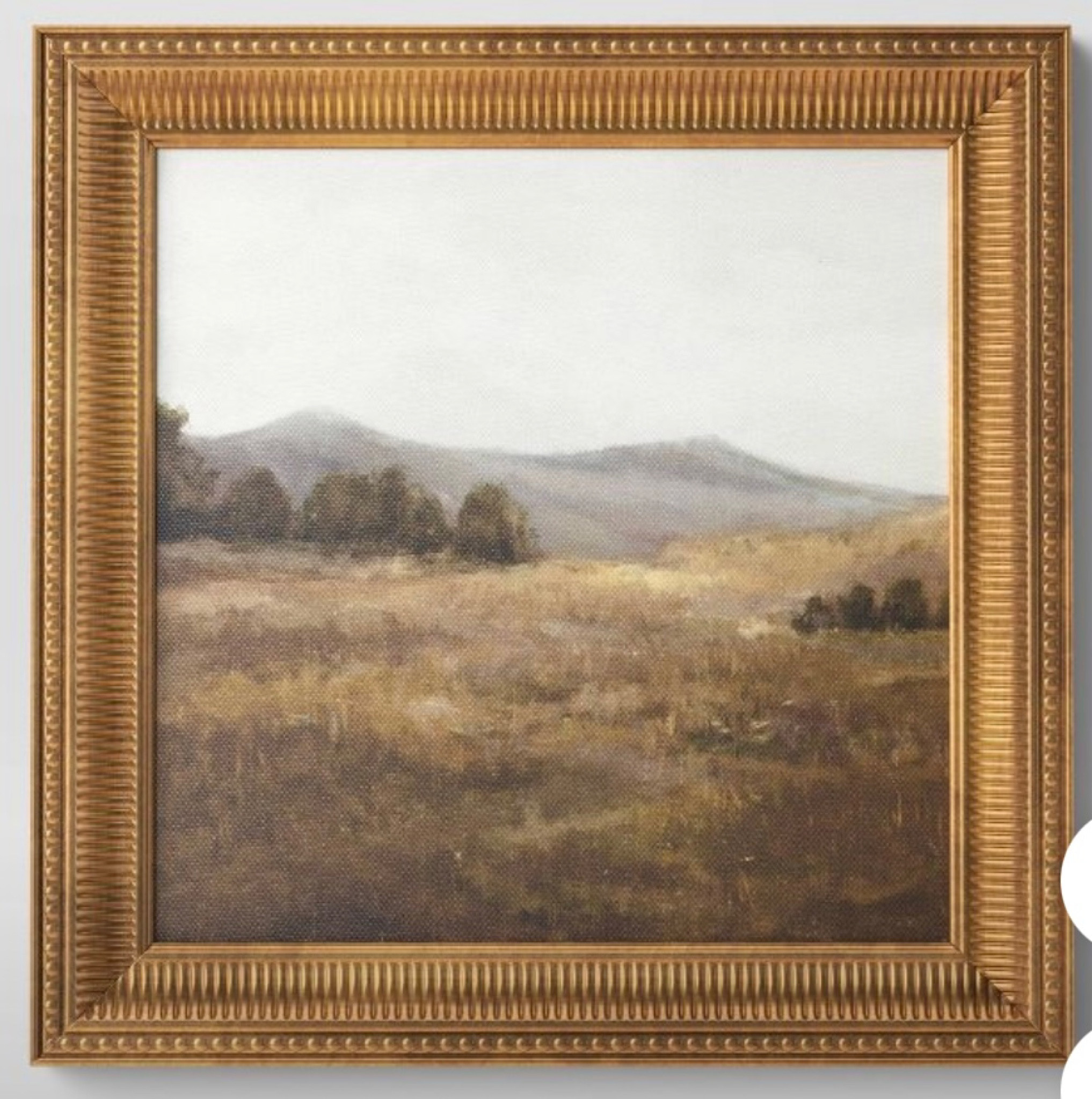 Beautiful budget friendly framed picture!

#LTKhome