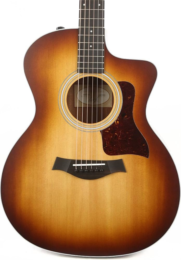 Taylor 214ce-K Grand Auditorium Koa Natural Shaded Edge Burst ES2 w/Gig Bag | Amazon (US)