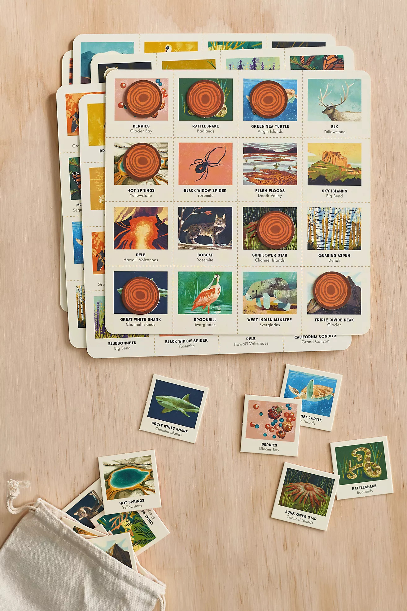 National Parks Bingo | Terrain