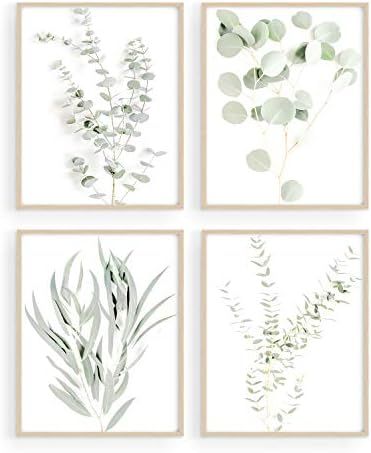 Haus and Hues Botanical Plant Wall Art 11"x14" Prints - Set of 4 Plant Wall Decor Prints Floral K... | Amazon (US)