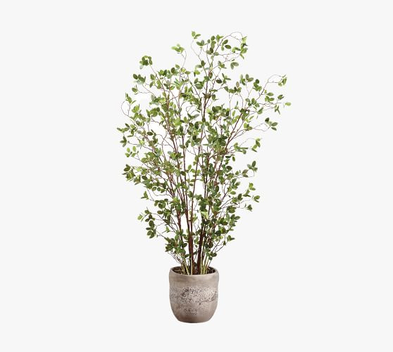 Faux Potted Mini Leaf Tree | Pottery Barn (US)
