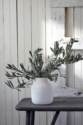 Preserved Olive Branch Bunch | Anthropologie (US)