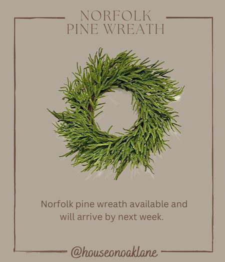 Norfolk pine wreath, real touch 

#LTKunder100 #LTKSeasonal #LTKHoliday