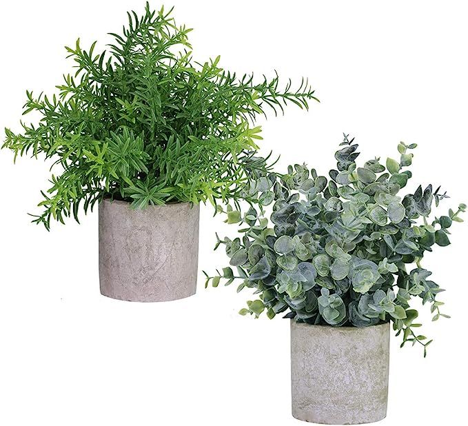 Winlyn 2 Pack Artificial Potted Plants Faux Eucalyptus & Rosemary Greenery in Pots Small Housepla... | Amazon (US)