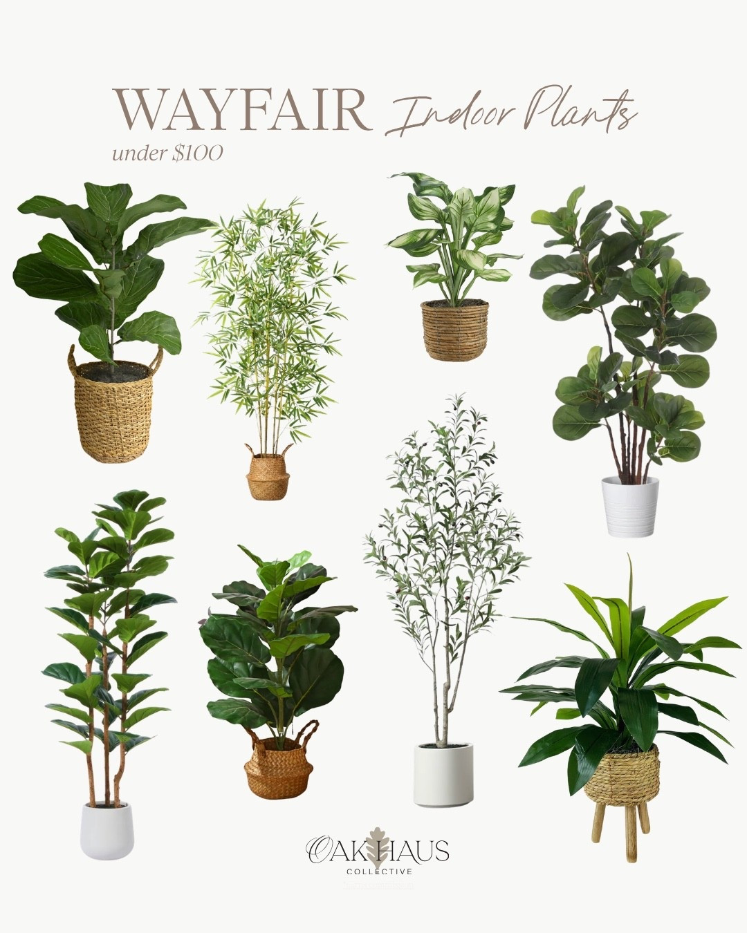 Wayfair, Indoor Plants, Faux, Home Decor, Home, Modern, Plant, Greenery

#LTKHome #LTKSeasonal #LTKdayinmylife