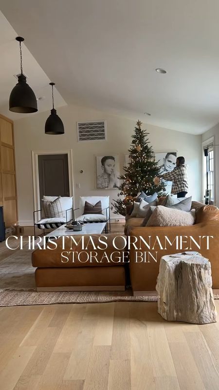 Christmas decor, Christmas storage, ornament storage

#LTKfindsunder50 #LTKhome #LTKSeasonal