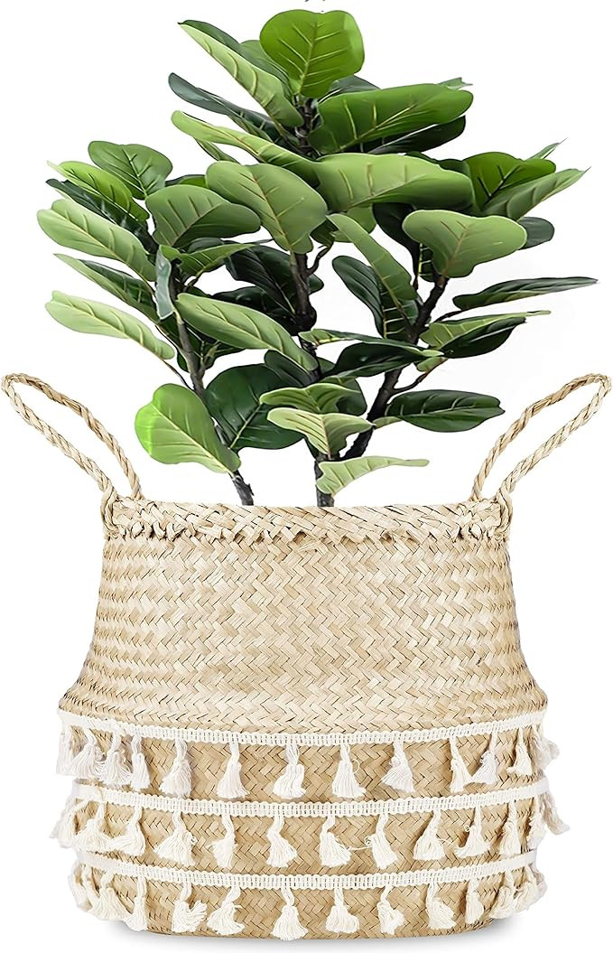 La Maia Medium Natural Net Woven Seagrass Belly Plant Basket with Handles, Woven Planter Basket f... | Amazon (US)