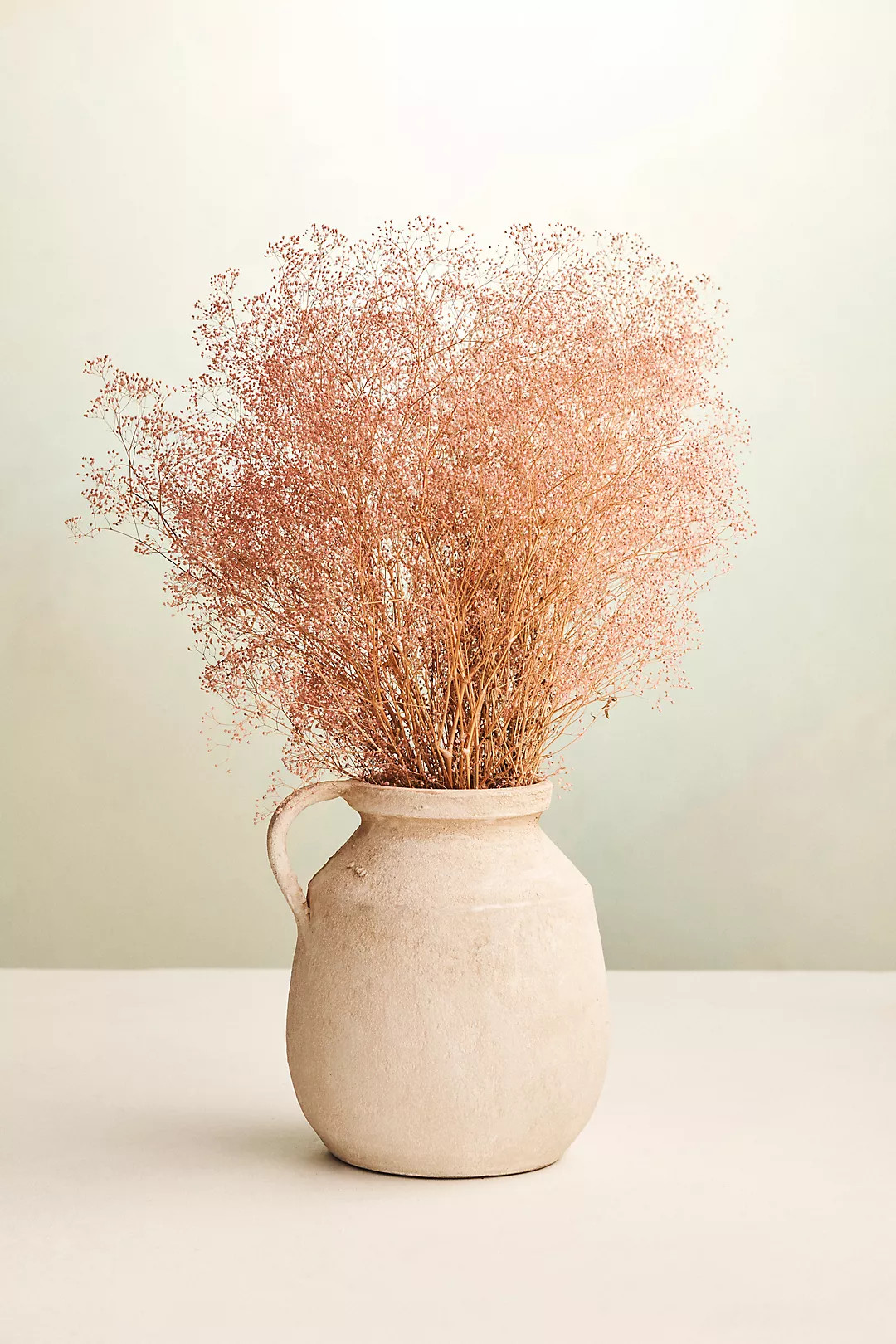 Dried Gypso Bunch | Anthropologie (US)