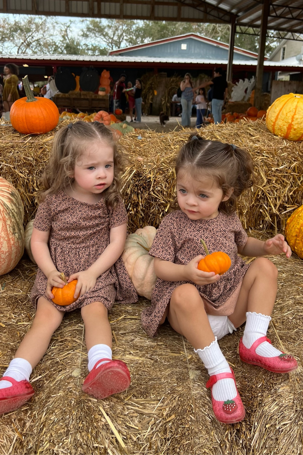 Cutest pumpkin at the patch 🎃

#LTKSaleAlert #LTKBaby #LTKHalloween