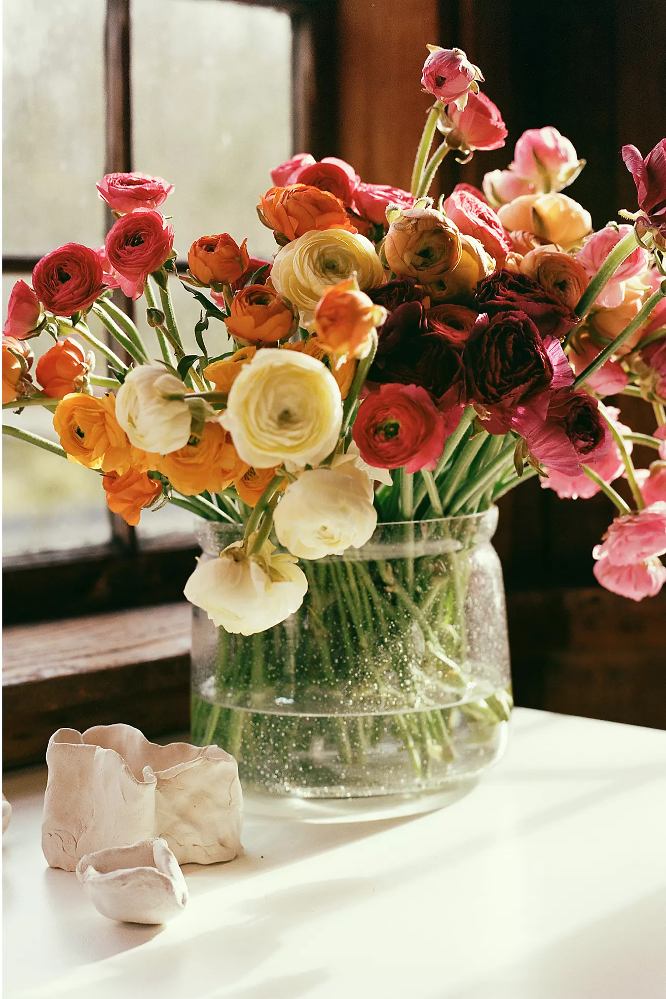Fresh Rainbow Ranunculus Bunch | Anthropologie (US)